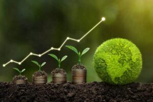 Lire la suite à propos de l’article Études de sauvegarde environnementale et sociale (PAR)