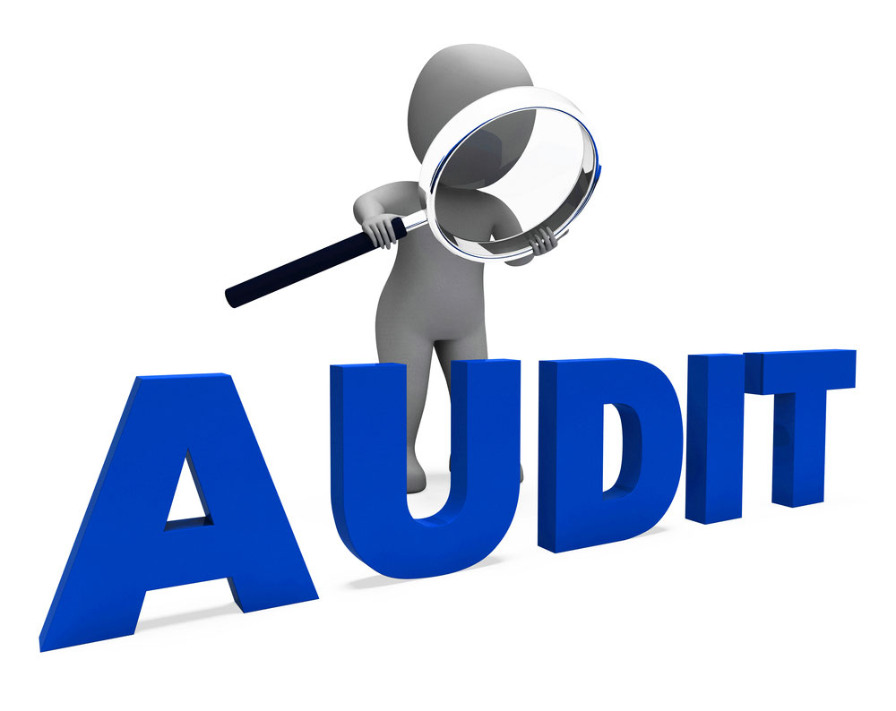 Lire la suite à propos de l’article Auditeur interne